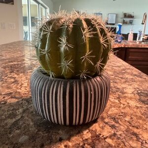 Striped Black and White Planter with Green Cactus